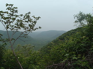 Bewaldete Berglandschaft in den nördlichen Ostghats (Naturschutzgebiet Kambalakonda nahe Visakhapatnam, Andhra Pradesh)