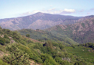 Ostseite des Mont Aigoual