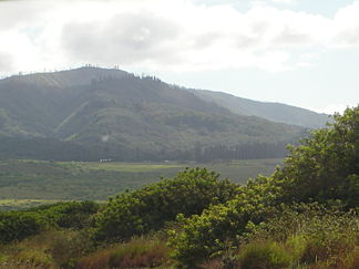 Lānaʻihale (links)