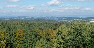 Blick von der Platte (499 m) auf den Neuburger Wald. Im Hintergrund sind die Berge des Bayerischen Waldes erkennbar.