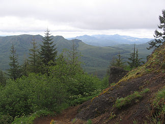 Saddle Mountain bei Astoria in der Northern Oregon Coast Range