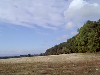 Der Südrand des Volkenroder Waldes mit altem Waldbestand