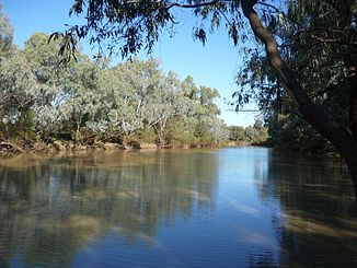 Barcoo River bei Isisford (2011)