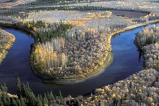 Beaver Creek im Yukon Flats National Wildlife Refuge
