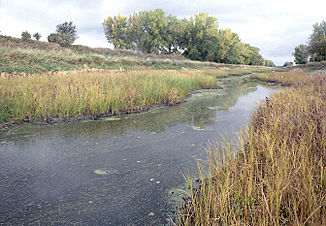 Der Bois de Sioux River unterhalb des Staudammes am Lake Traverse. Roberts County, South Dakota ist links und Traverse County, Minnesota rechts im Bild.