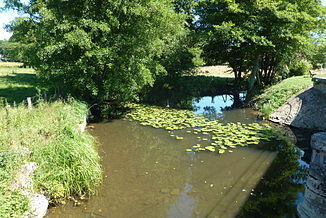 Der Fluss bei der Einmündung der Tanche in La Vieille-Loye