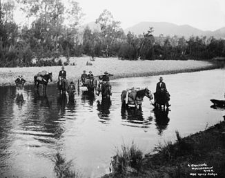 Ein Trek überquert den Wollondilly River (ca. 1900). Foto aus dem Powerhouse Museum in Sydney