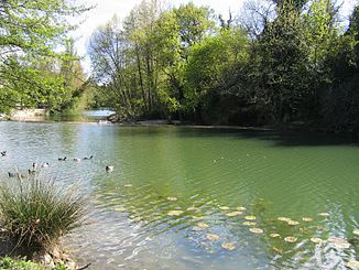 Der Fluss bei Castelnau-le-Lez