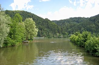 Mündung der Erlau in die Donau