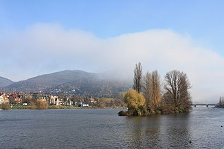 Der Neckar bei Heidelberg