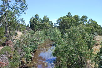 Loddon River in Newstaed
