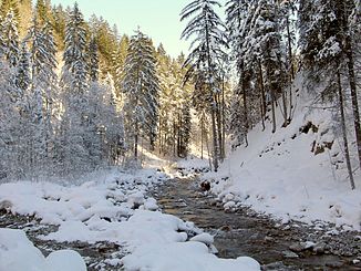 Der Oybach nahe Gruben im Winter