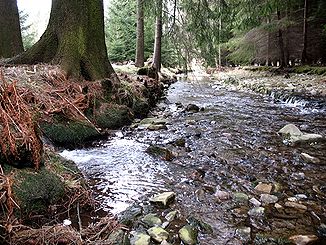 Pöhlwasser zwischen Ehrenzipfel und Rittersgrün