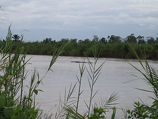 Flusspferde im Fluss Ruzizi, Burundi
