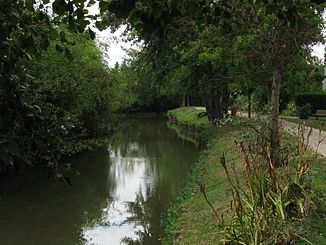 Der Fluss bei Saint-Cyr-en-Val
