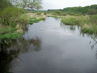Der Shell River in der Straight River Township (2007)