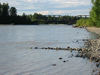 Der Talkeetna River kurz vor der Mündung in den Susitna River mit der Eisenbahnbrücke der Alaska Railroad
