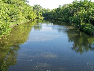 Der Yellow Medicine River in der Minnesota Falls Township (2007)