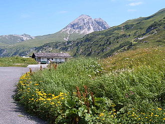 Flexenpass mit Flexen-Häusl, im Hintergrund die Rüfispitze (2.632 m ü. A.)