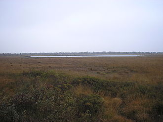 Blick über das intakte Huvenhoopsmoor auf den Huvenhoopssee Mitte Oktober