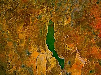 Lake turkana satellite.jpg