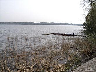 See vom Ufer in Torgelow am See