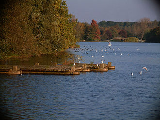 Ümminger See im Herbst