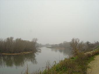 Der Ebro bei Mendavia, Navarra