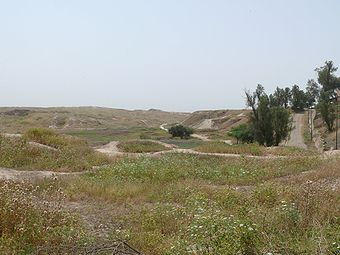 Das Ruinenfeld von Susa heute