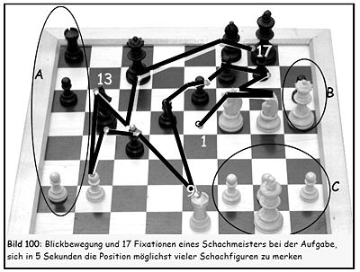 Eye movements of a chess champion.jpg