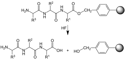 Abspaltung des Peptids (Beispiel: Tripeptid) vom polymeren Träger.