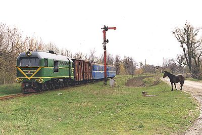 Zug bei der Ausfahrt in Rudnyzja