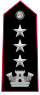 Carabinieri-OF-5.svg