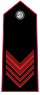Carabinieri-OR-6.svg