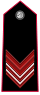 Carabinieri-OR-7.svg