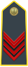 Rank insignia of appuntato of the Guardia di Finanza.svg