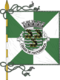 Flagge des Concelhos Matosinhos