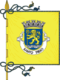 Flagge des Concelhos Santo Tirso