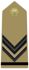 Rank insignia of caporale scelto of the Army of Italy (1973).svg