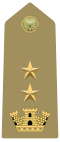 Rank insignia of tenente colonnello of the Army of Italy (1973).svg