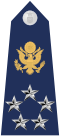 US Air Force O11 shoulderboard with seal.svg