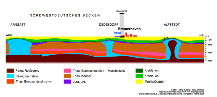 Geologisches Profil durch das Nordwestdeutsche Becken mit Salzstöcken (blau)