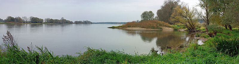Herbstliche Mittelelbe zwischen Niedersachsen (rechts) und Brandenburg. Unter anderem weil der Strom in diesem Abschnitt innerdeutsche Grenze war, hat sich bis in die Gegenwart ein relativ naturnahes, unverbautes Ufer erhalten.