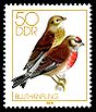 Stamps of Germany (DDR) 1979, MiNr 2393.jpg