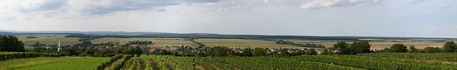 Panoramablick über die Weingärten der Marktgemeinde Lutzmannsburg (Mittelburgenland) in Richtung Norden