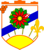 Wappen von Čelić
