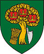 Wappen von Biri (Ungarn)
