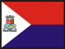 Bandeira Vila Velha.png