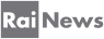 RAI News 2010 neu Logo.svg